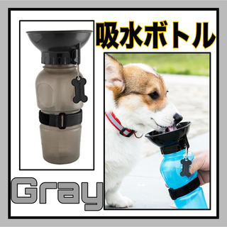 グレー お散歩 ウォーターボトル ペット用 水筒 500ml 犬　吸水ボトル(犬)