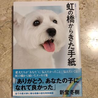 虹の橋からきた手紙　新堂冬樹(文学/小説)