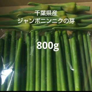 千葉県産ジャンボニンニクの芽800g栽培期間中農薬不使用(野菜)