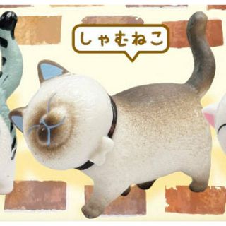 【しゃむねこ】 こっちみにゃいで(その他)