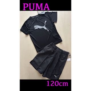 PUMA -  新品タグ付き　120㎝  PUMAプーマ上下セットアップ　ブラック