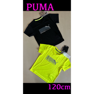 プーマ(PUMA)の新品タグ付き　PUMAプーマ　120cmTシャツ２枚セット　ブラックイエロー(Tシャツ/カットソー)