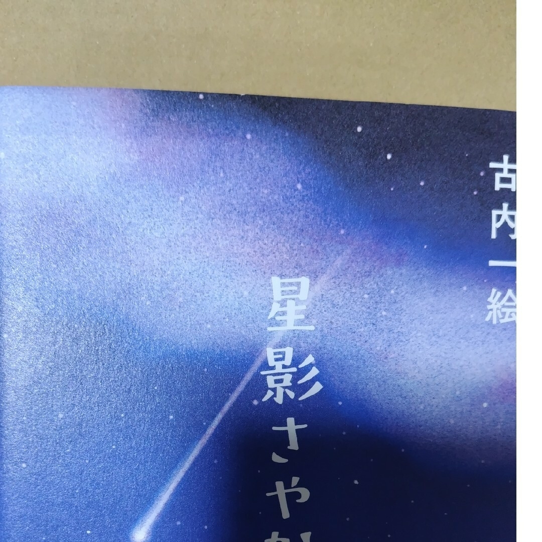 星影さやかに エンタメ/ホビーの本(文学/小説)の商品写真