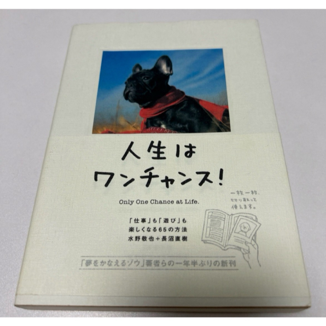 【2冊セット】「人生はワンチャンス！」「人生はニャンとかなる！ エンタメ/ホビーの本(その他)の商品写真