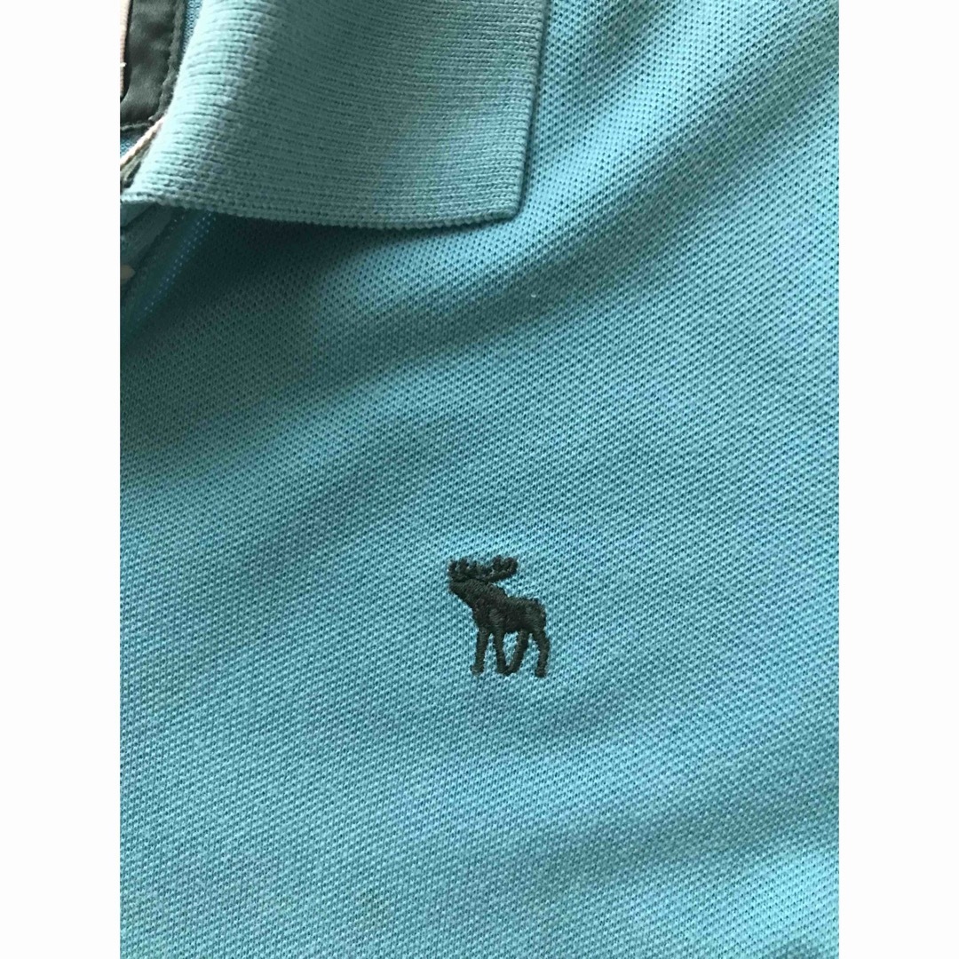 Abercrombie&Fitch(アバクロンビーアンドフィッチ)のアバクロンビーアンドフィッチポロシャツ　L レディースのトップス(ポロシャツ)の商品写真