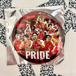 【専用】名古屋ダイヤモンドドルフィンズ　缶バッジ(スポーツ選手)