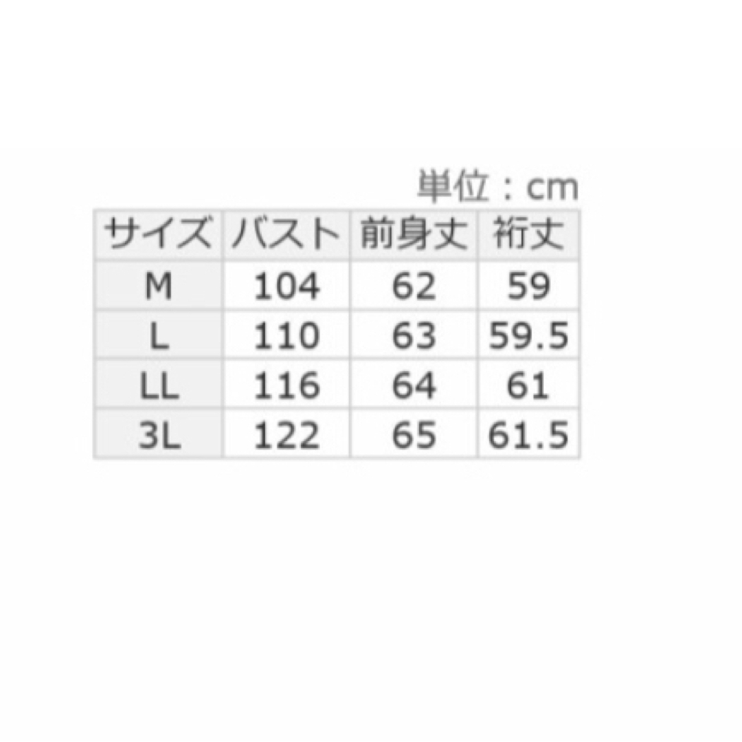 アロッタ　接触冷感　フリルデザイン　パフ袖　カットソー レディースのトップス(カットソー(長袖/七分))の商品写真