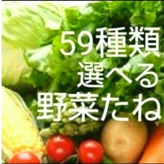 野菜種　59種類から選べる(その他)