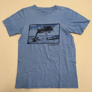 パタゴニア(patagonia)のpatagonia Tシャツ(Tシャツ/カットソー(半袖/袖なし))