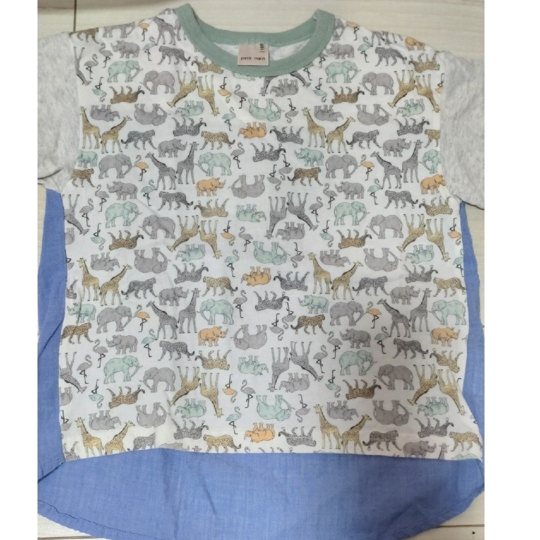 petit main(プティマイン)の美品　プティマイン恐竜Tシャツ100 キッズ/ベビー/マタニティのキッズ服男の子用(90cm~)(Tシャツ/カットソー)の商品写真