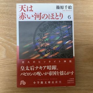 天は赤い河のほとり　6(その他)