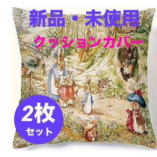 ピーターラビット(PETER RABBIT（TM）)のPeter Rabbit⭐️クッションカバー⭐️速乾⭐️2枚セット(クッションカバー)