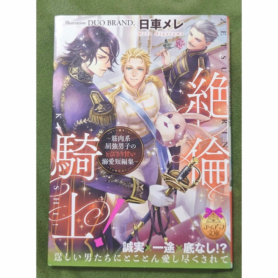 TL 絶倫騎士! ～筋肉系屈強男子のとびきり甘い溺愛短編集～ エンタメ/ホビーの本(文学/小説)の商品写真