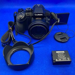 Panasonic - Panasonic LUMIX DMC-FZ300