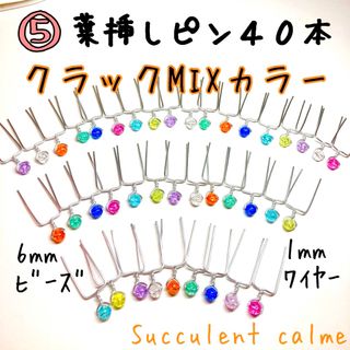 ⑤クラックMIXカラー★シルバーワイヤー☆葉挿しピン４０本 多肉植物(その他)