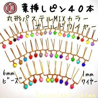 ⑩丸形パステルMIXカラー★ゴールドワイヤー☆葉挿しピン４０本 多肉植物 (その他)