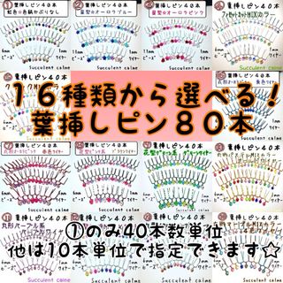 葉挿しピン８０本☆１６種類から組み合わせ自由♪ 多肉植物 ランナーピン(その他)