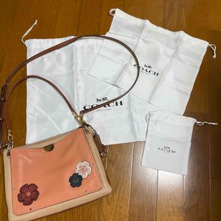 コーチ(COACH)のコーチ　ドリーマー ショルダー バッグ カラーブロック　ティーローズ(ショルダーバッグ)