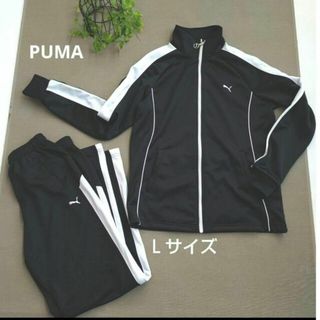 プーマ(PUMA)のプーマ　ジャージ上下　セットアップ　Ｌサイズ　大きいサイズ(その他)