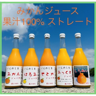 みかんジュース 12本お得セット 果汁100％ ストレート 無添加(ソフトドリンク)