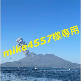 mike4557様専用(肉)