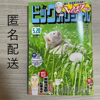 ショウガクカン(小学館)のビッグコミック オリジナル 2024年 5/20号 [雑誌](漫画雑誌)