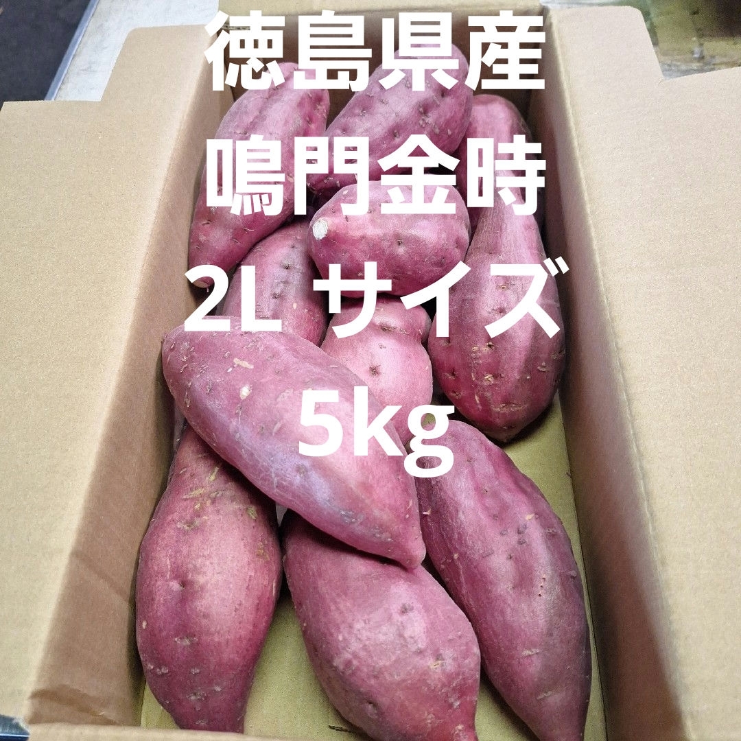 さつまいも　徳島県産鳴門金時2L サイズ5kg 食品/飲料/酒の食品(野菜)の商品写真