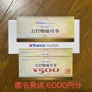 ヤマダ電機 株主優待 6000円分(ショッピング)