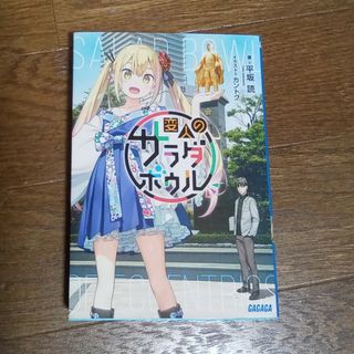 変人のサラダボウル(文学/小説)