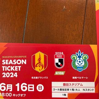 名古屋グランパスvs湘南ベルマーレ　ゴール裏指定席1階　大人　Nスタンドホーム側(サッカー)