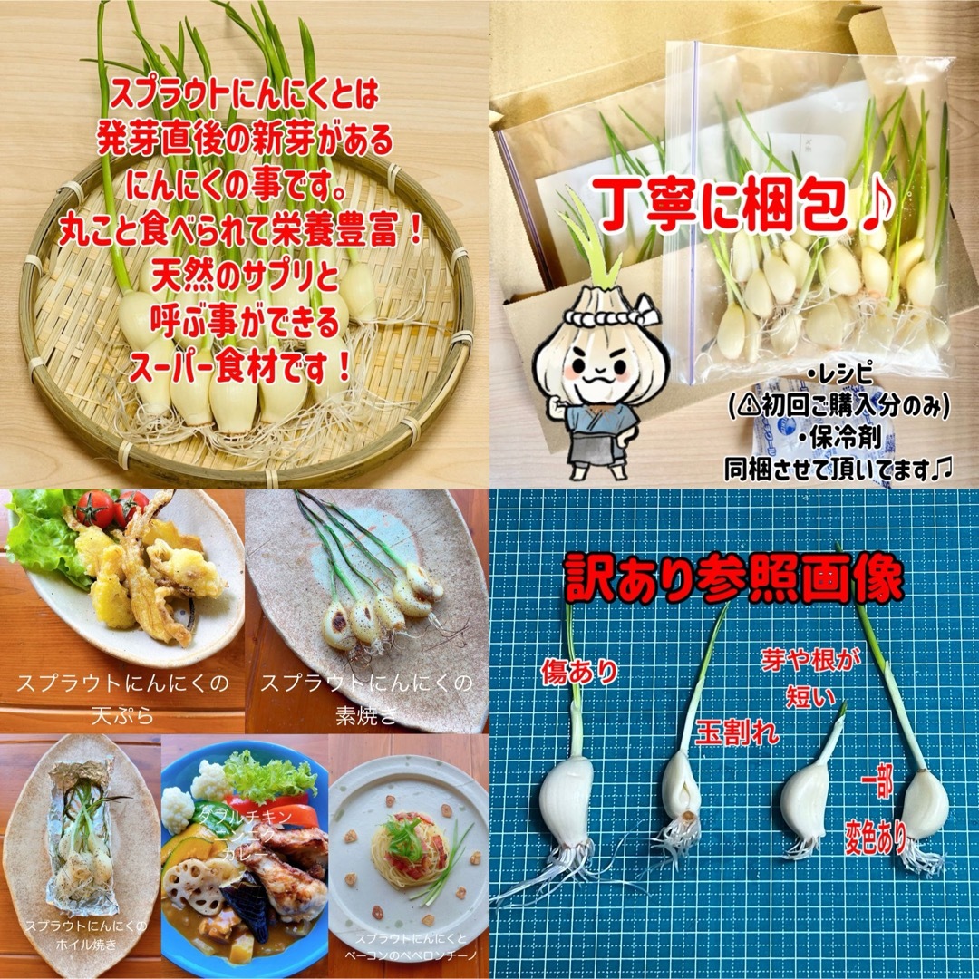 スプラウトにんにく　驚きの栄養価　発芽にんにく　60本　にんにく親方 食品/飲料/酒の食品(野菜)の商品写真