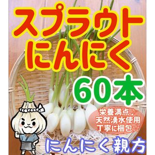 スプラウトにんにく　驚きの栄養価　発芽にんにく　60本　にんにく親方(野菜)