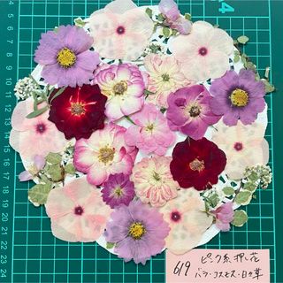 ピンク系押し花アソートメント(ドライフラワー)