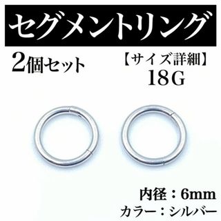 セグメントリング 18G 2本 フープピアス ボディピアス シルバー BP169(ピアス(片耳用))