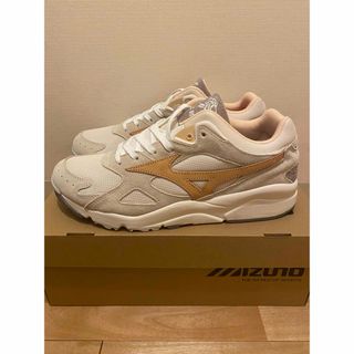 IL BISONTE x MIZUNO SKY MEDAL 29.0cm