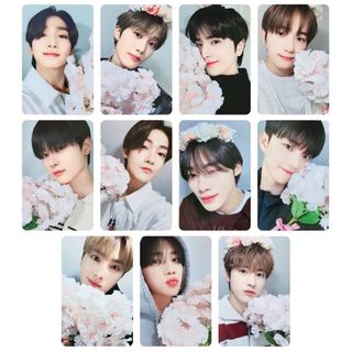 ザボーイズ(THE BOYZ)のtheboyz ドボイズ トレカ セット(K-POP/アジア)