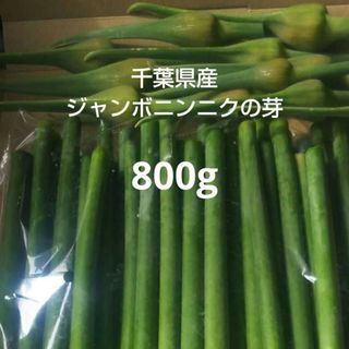 千葉県産ジャンボニンニクの芽800g栽培期間中農薬不使用(野菜)