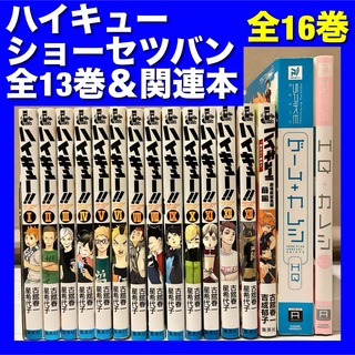 【美品多数】ハイキュー関連本全16巻全巻セット(全巻セット)