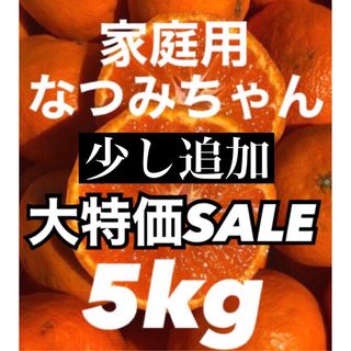 愛媛県産みかん なつみ 箱込5kg 柑橘 ミカン 果物(フルーツ)