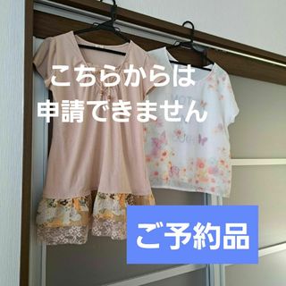 レディース　ブラウス　シャツ　カットソー　プルオーバー　チュニック　半袖(Tシャツ(半袖/袖なし))