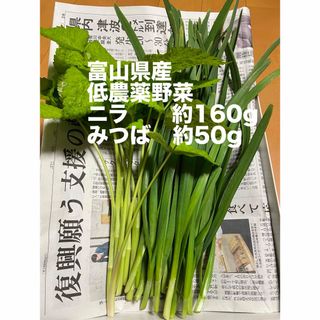 富山県産 農家の低農薬野菜(ニラ、みつば)(野菜)