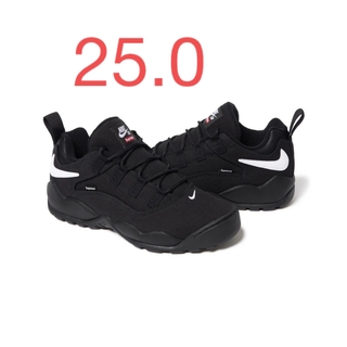 シュプリーム(Supreme)のSupreme × Nike SB Darwin Low 25.0cm(スニーカー)