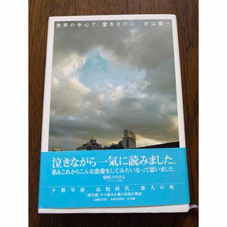 世界の中心で、愛をさけぶ(その他)