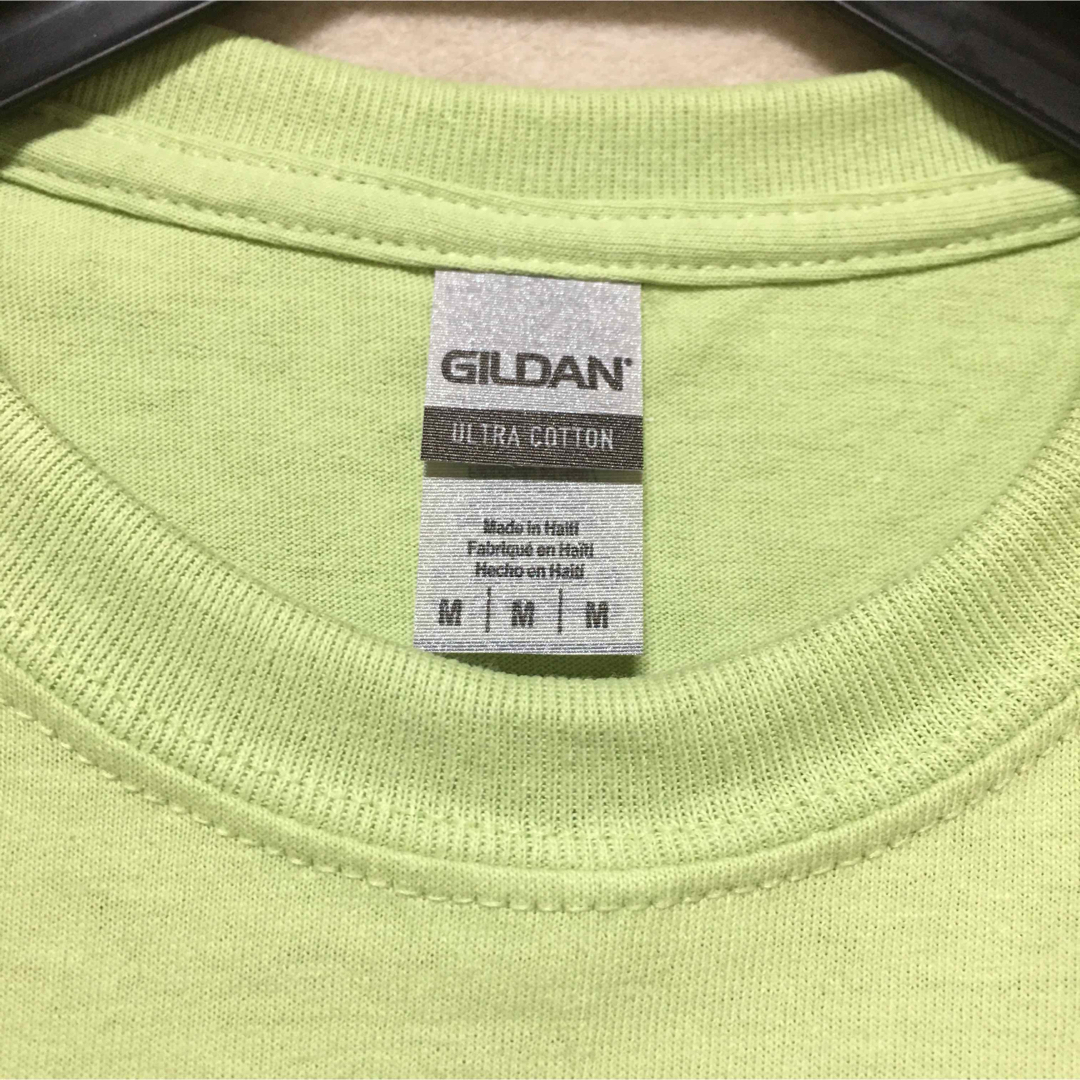 GILDAN(ギルタン)の新品 GILDAN ギルダン 半袖Tシャツ ピスタチオ M メンズのトップス(Tシャツ/カットソー(半袖/袖なし))の商品写真