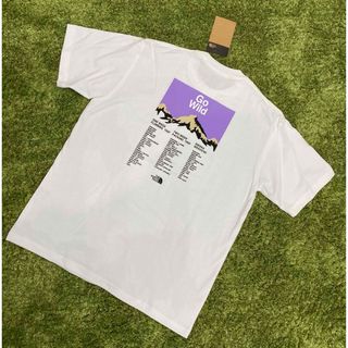 ザノースフェイス(THE NORTH FACE)の完売品　THE NORTH FACE バックプリントTシャツ　新品(Tシャツ/カットソー(半袖/袖なし))