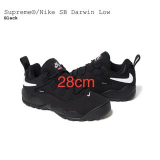 シュプリーム(Supreme)のSupreme Nike SB Darwin Low Black シュプリーム(スニーカー)