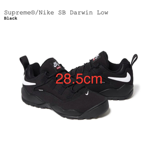 シュプリーム(Supreme)のSupreme Nike SB Darwin Low Black ナイキ(スニーカー)