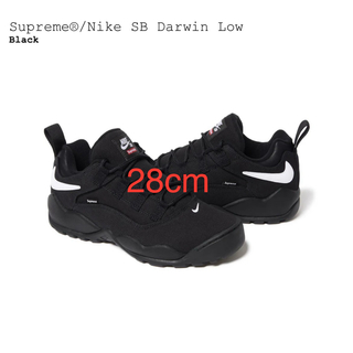 シュプリーム(Supreme)のSupreme Nike SB Darwin Low ナイキ(スニーカー)
