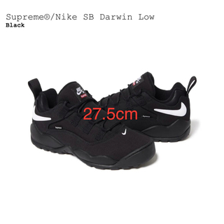 シュプリーム(Supreme)のSupreme Nike SB Darwin Low シュプリーム ダンク(スニーカー)