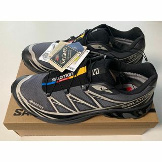 サロモン(SALOMON)のSALOMON XT-6 GTX ゴアテックス 30cm black(スニーカー)